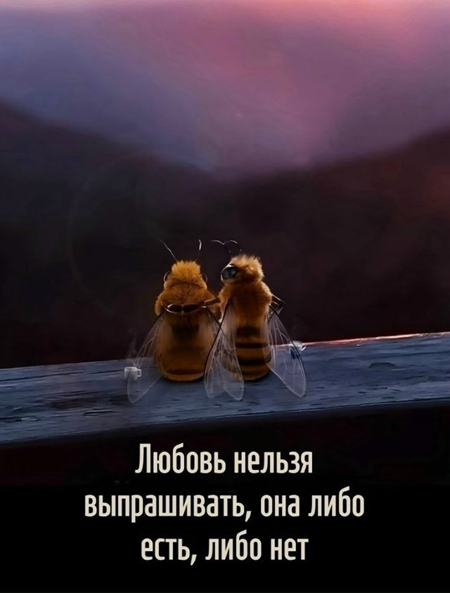 Это так и есть...