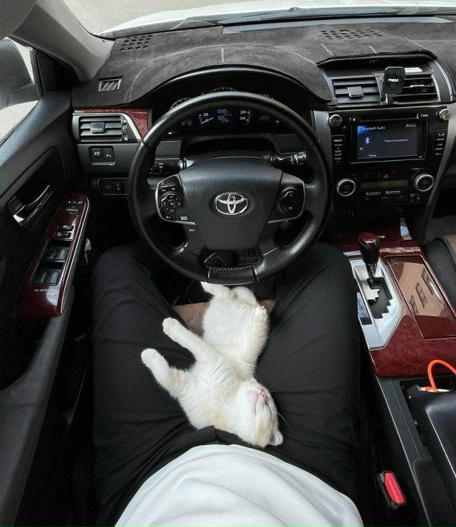 Жительница крупного города стала героиней вирусной ис...