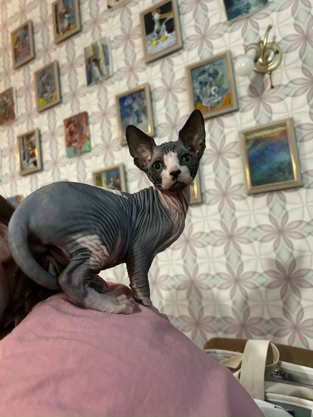 Матюша🦍❤️