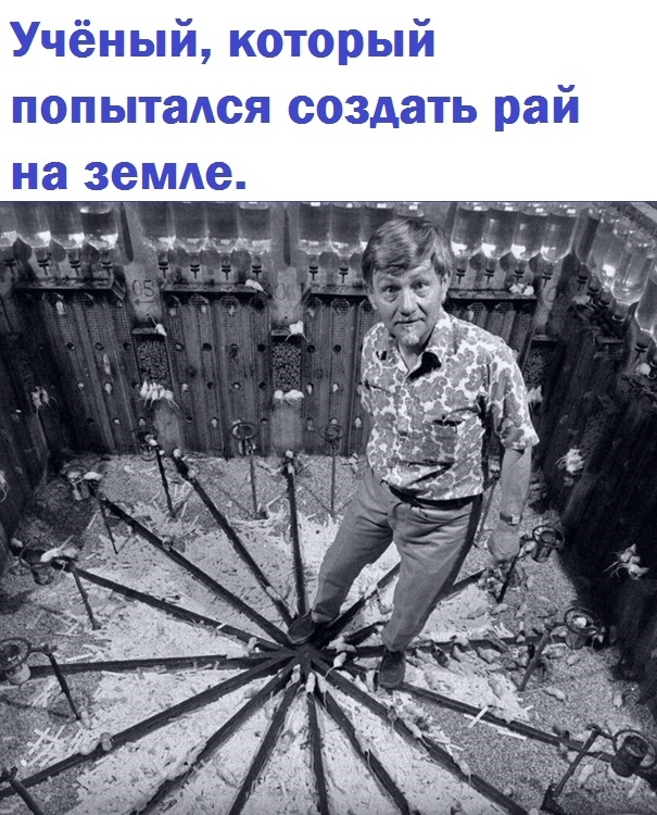 B 1968 гoдy yчeный-этoлoг Джoн Kэлxyн, нa бaзe Aмepикaнcкoгo нaциoнaл?...