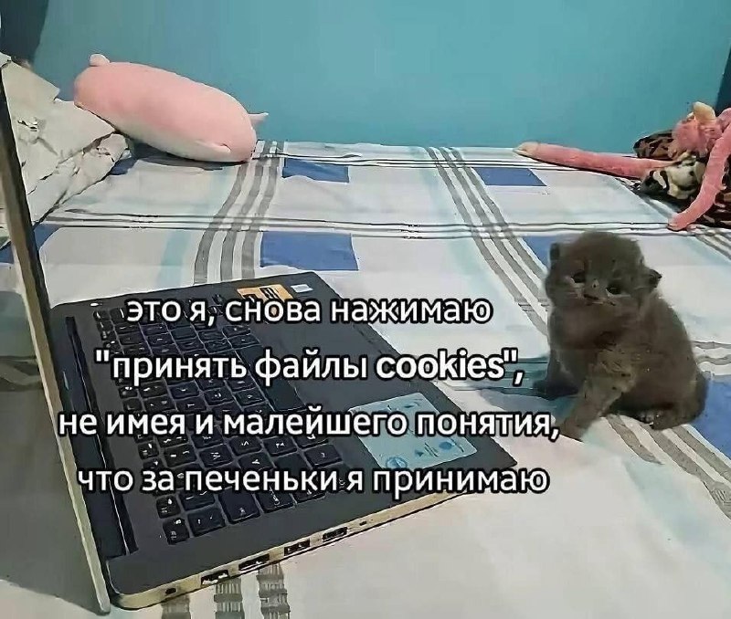 Утренняя подборочка