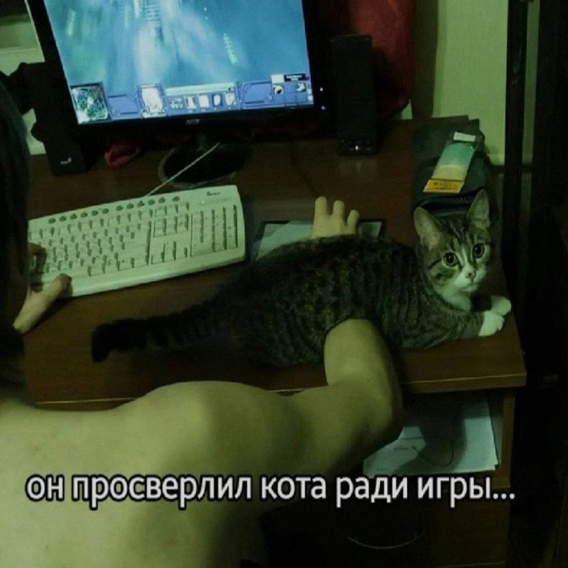 Ночная подборочка
Выходные, не спим