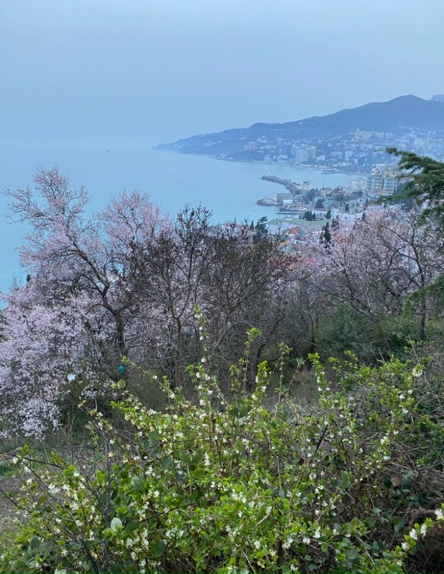 Эту сказку у нас кто-то забрал...
Теперь эти виды только ...