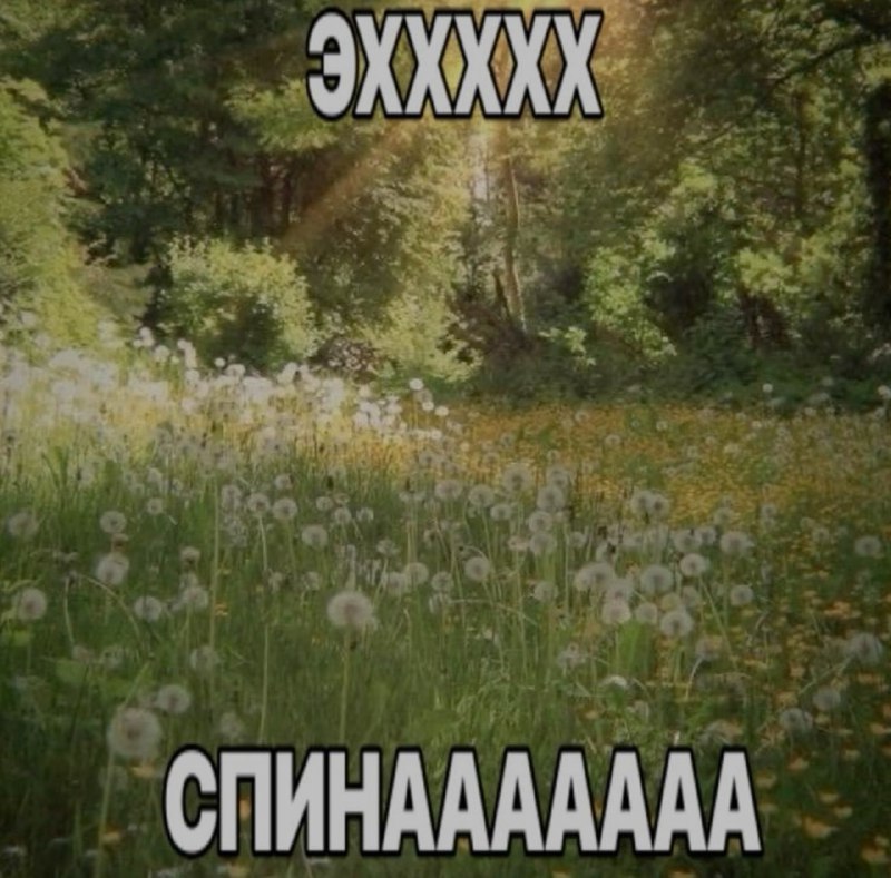 Ночная подборочка
Спать, режим