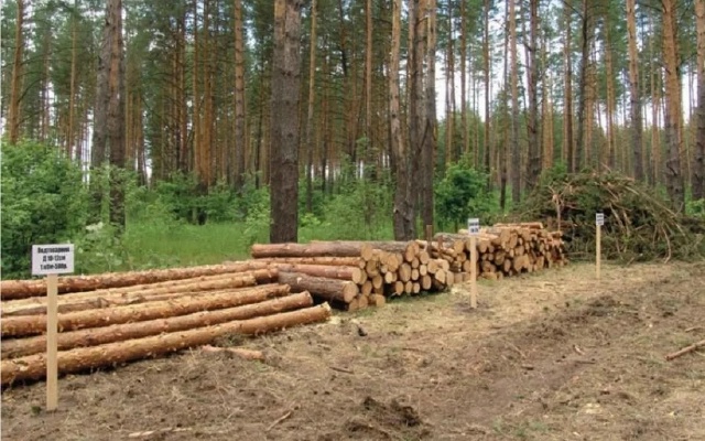 🪵Лесозаготовка в Башкирии сократилась на 10%
Объем ле?...