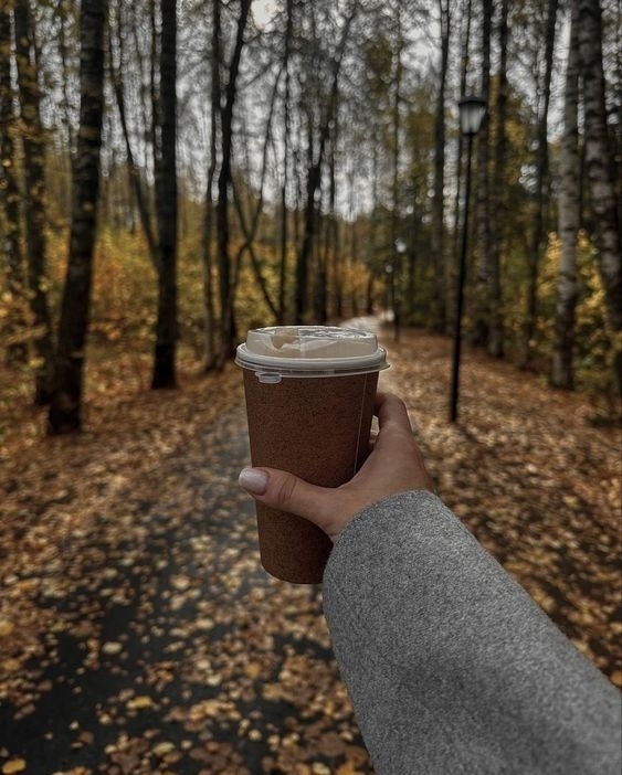 Просто жить и осенью дышать...