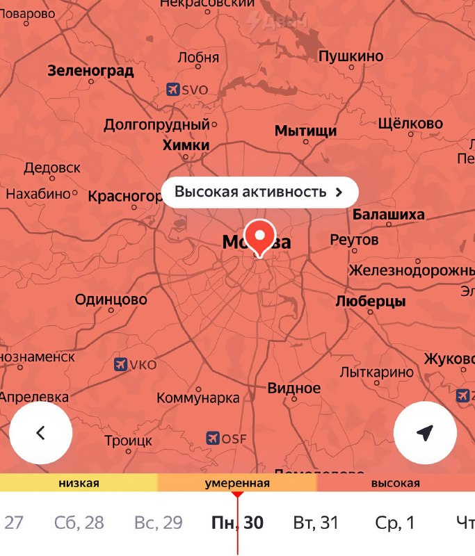 Тяжёлый период для аллергиков начался в Москве и центральных регионах России — из-за тёплой весны та