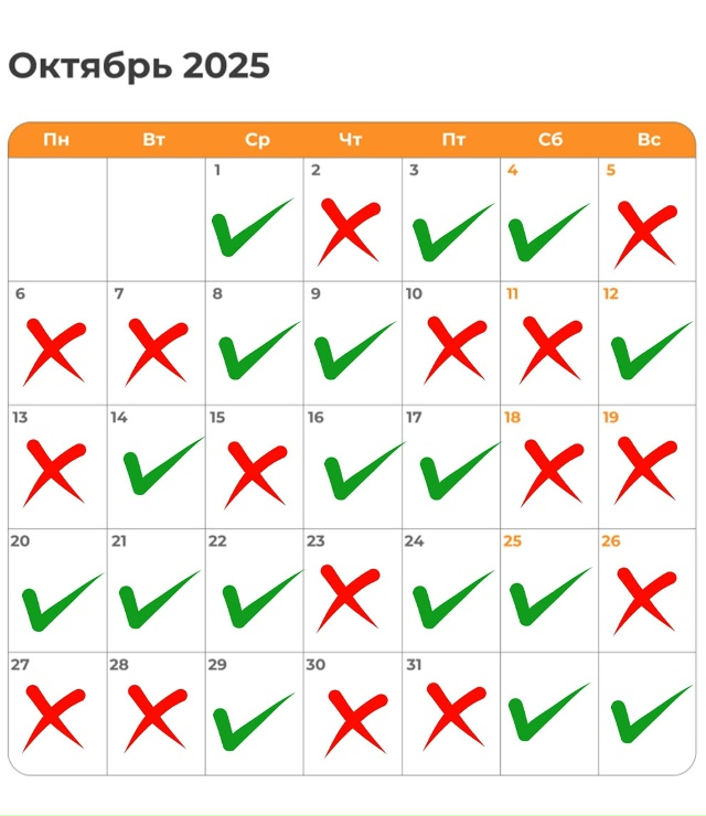 Дональд Трамп выразил своё разочарование Владимиром П...
