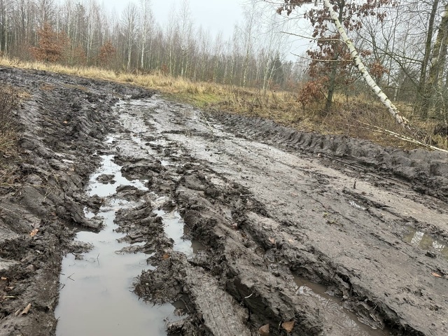 Кукуруза – наше всё!
Была грунтовка до трубчевского п...