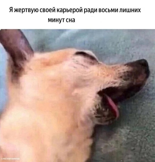 Ну чисто я