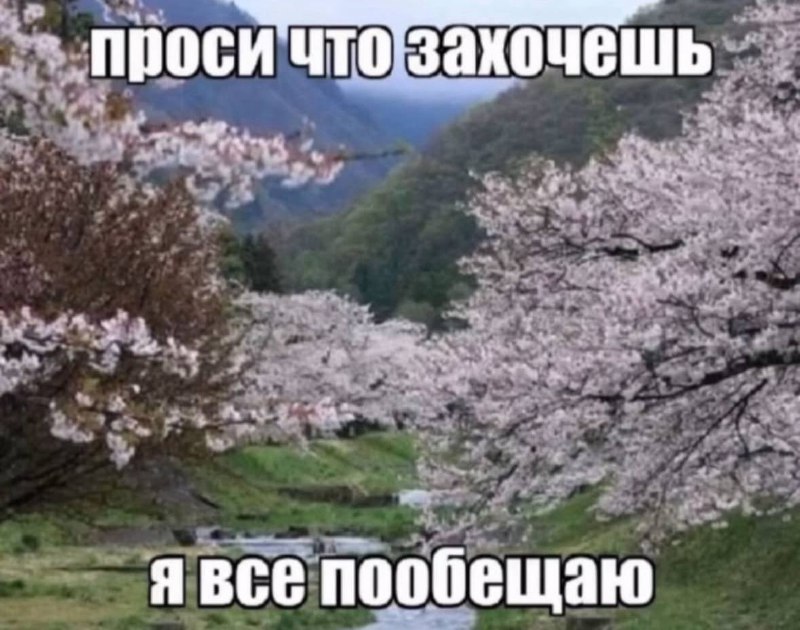Утренняя подборочка