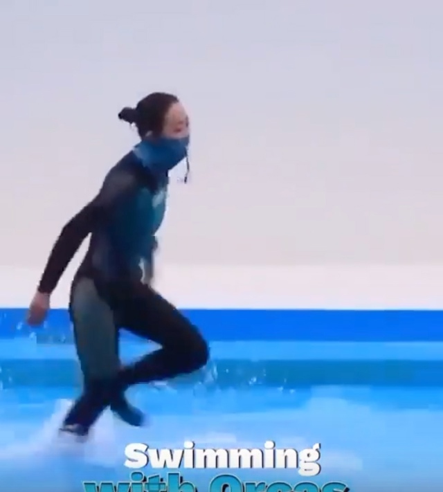 Королева дельфинов выглядит вот как то вот так