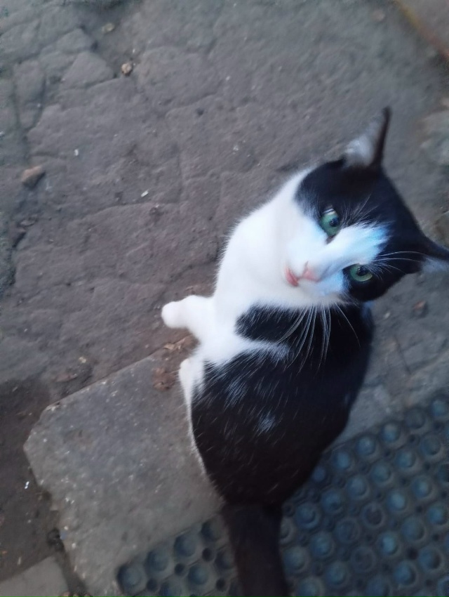 Переславль и Переславский район, давайте общими усили?...