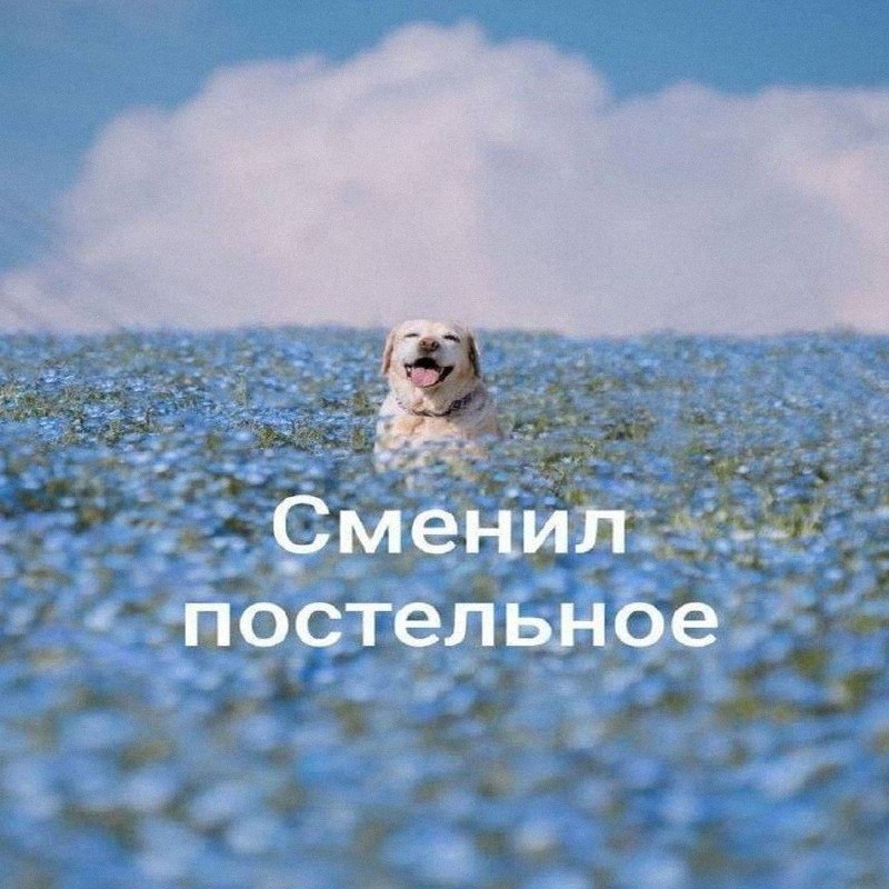 Утренняя подборочка