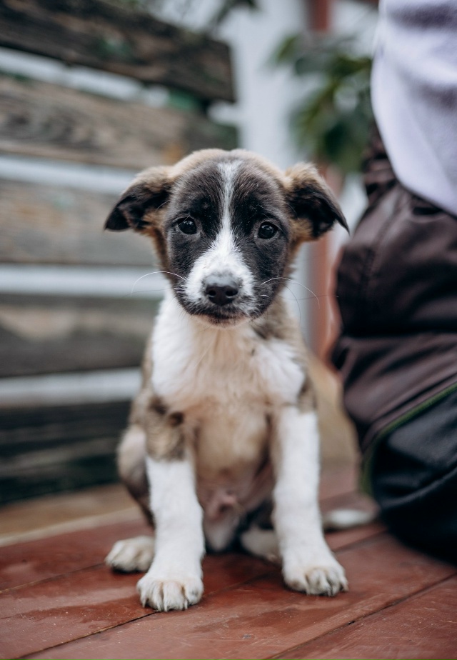 Здравствуйте! Разместите пожалуйста пост 🙏
Очень ище?...