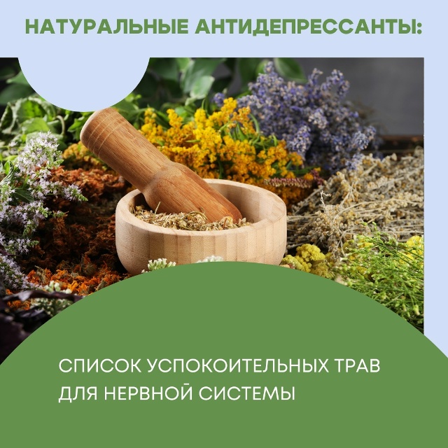 #Польза 1. Зверобой. Если нужны натуральные антидепресс...