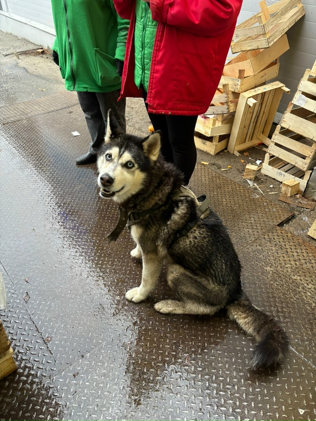 Чье чудо потерялось? Бегает у Олимпа