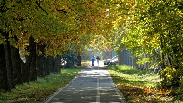 Осень в городе.На фото №3 Энт - пастырь деревьев из Влас...