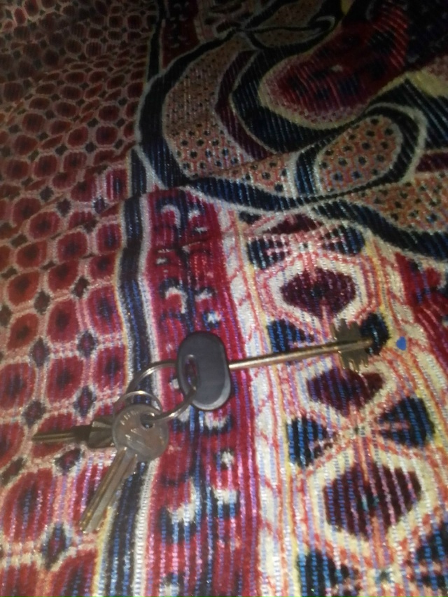 Найдены под мостом на Новосолдатской.89531386398