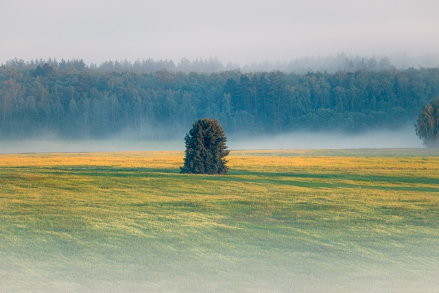 Буныревские туманы