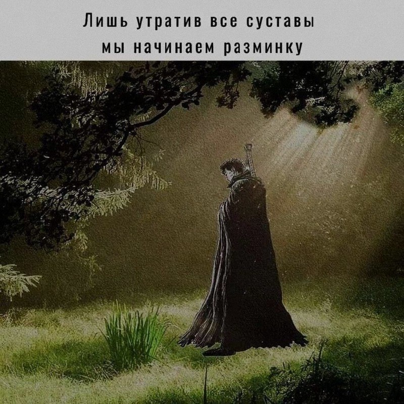 Ночная подборочка
Спать, режим