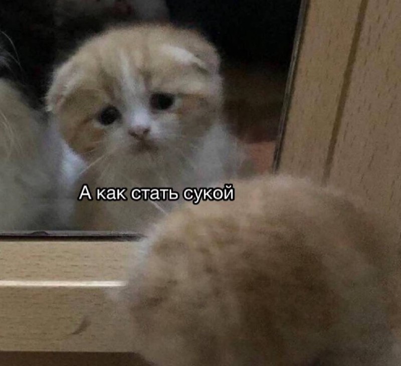 Я после того, как в какой-то ситуации опять промолчала или ответила как-то мягко, чтобы не задеть ни