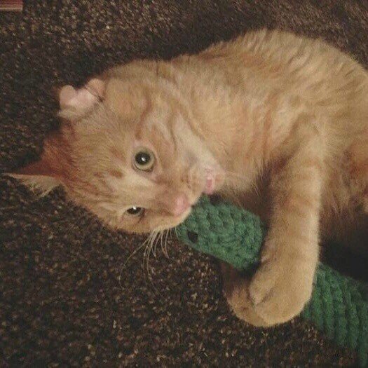 Только посмотрите, как забота и любовь меняет это мале?...