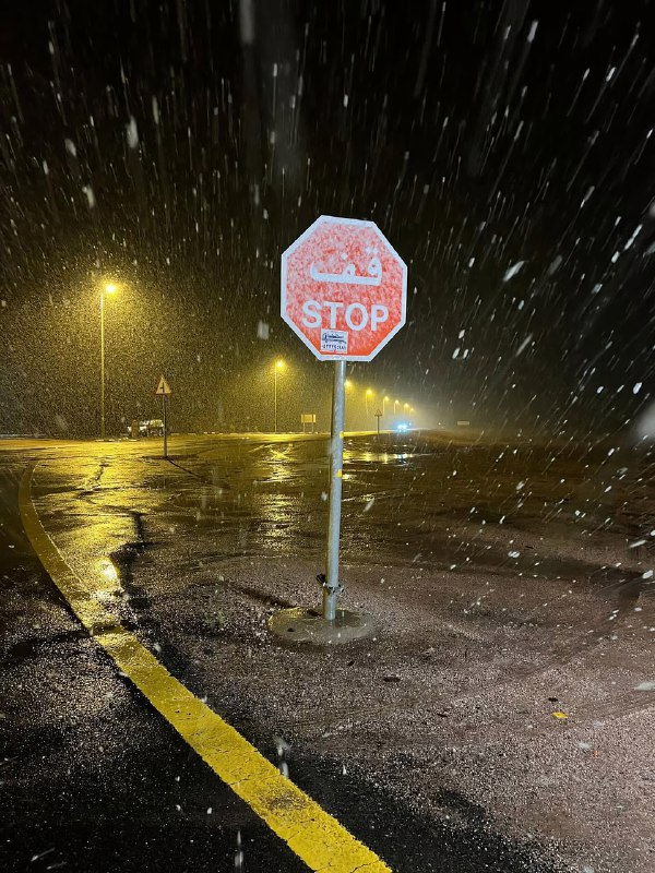 В Саудовской Аравии выпал снег — в некоторых районах это произошло впервые за 50 лет
Сугробы появил