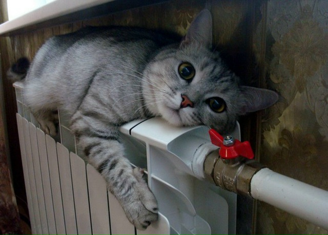 ❗Россиянам напомнили о возможности сэкономить деньги...