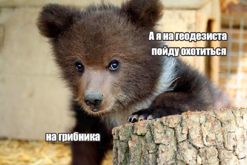 В Интернете появился новый мем