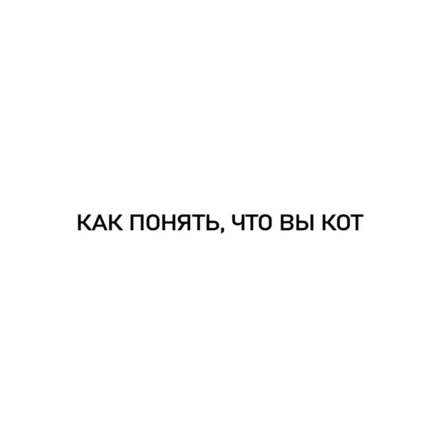 Я точно в душе кот