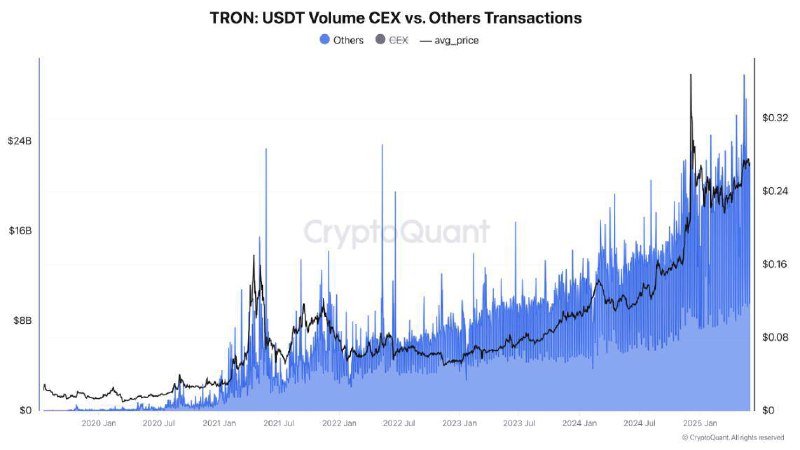Единственное, на чем нужно делать большой фокус при развитии TON – USDT.