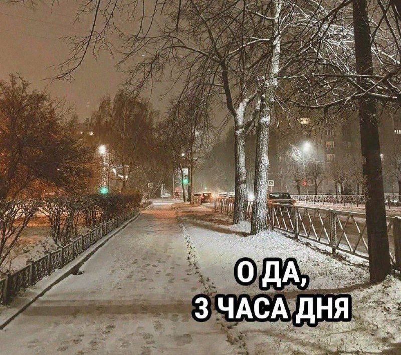 любители зимы такие: