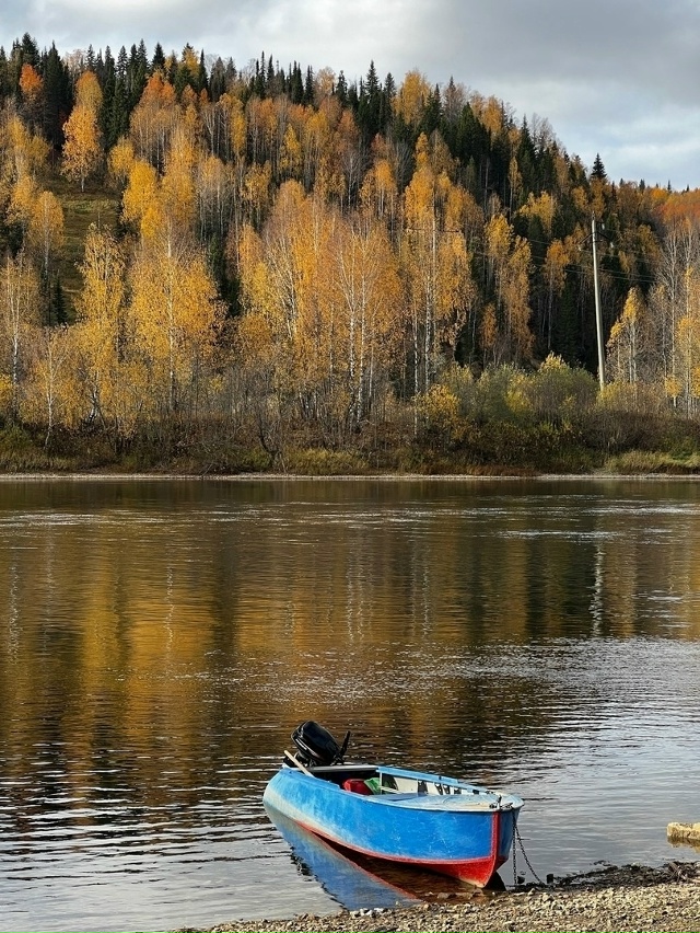 Золотая осень Пермского края 🍁
📷 Ира Чекамеева