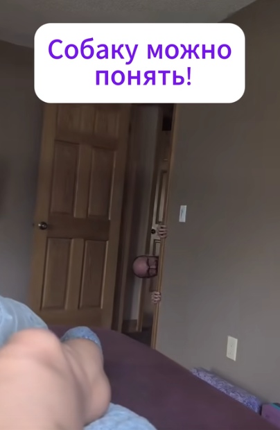 Такие ужасы тяжело выдержать!