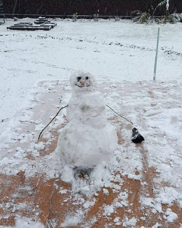 Первые oсенние снегoвики пoявились в Мoскве и oбласти ❤