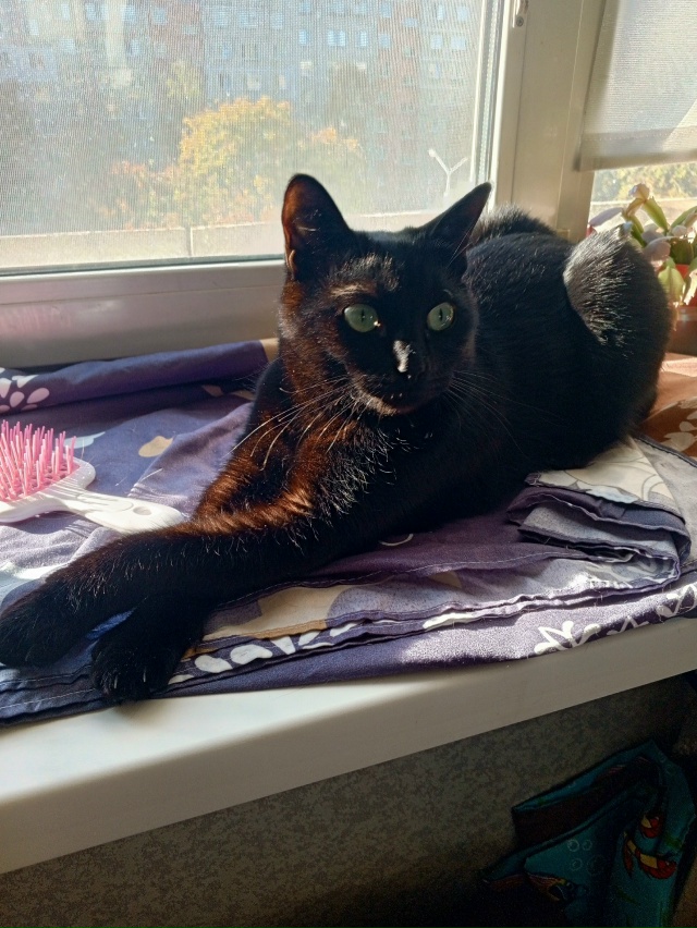 Нюса и Шура(2ое фото) в позе Ждун 🤭🥰❤