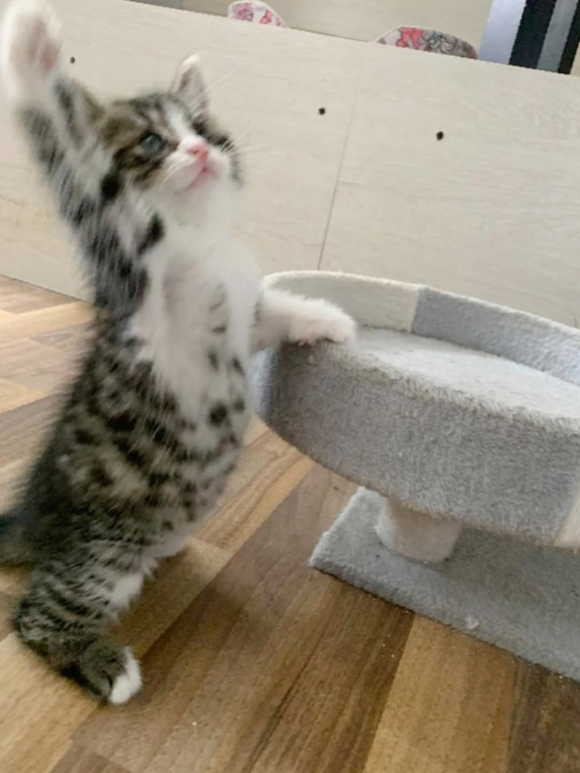 Друзья, привет от #котятасвокзальной
Со страхом и опас?...