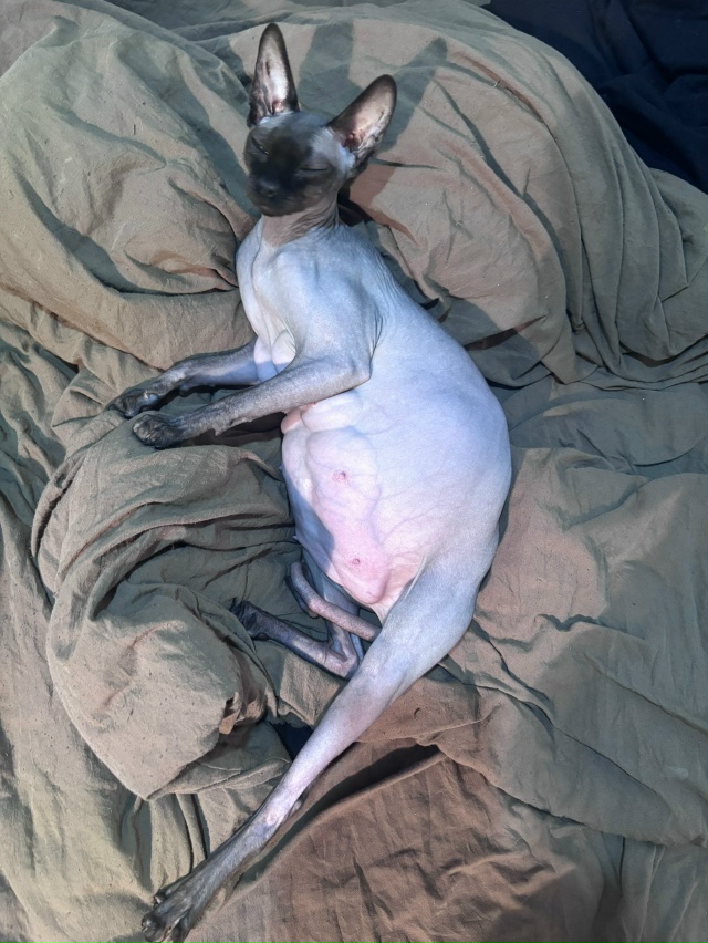 Чебурашка теперь мать❤️