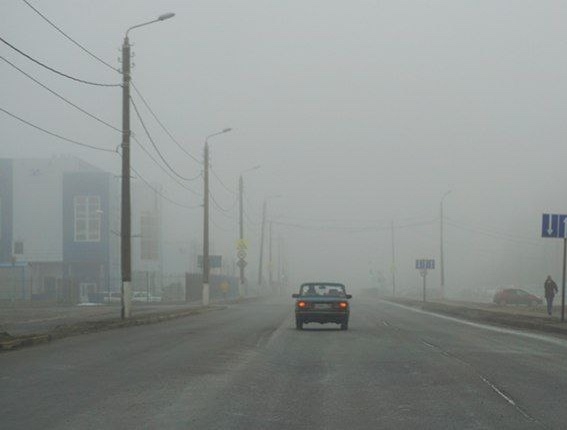 ‼️ В Брянской области объявили жёлтый уровень погодн?...