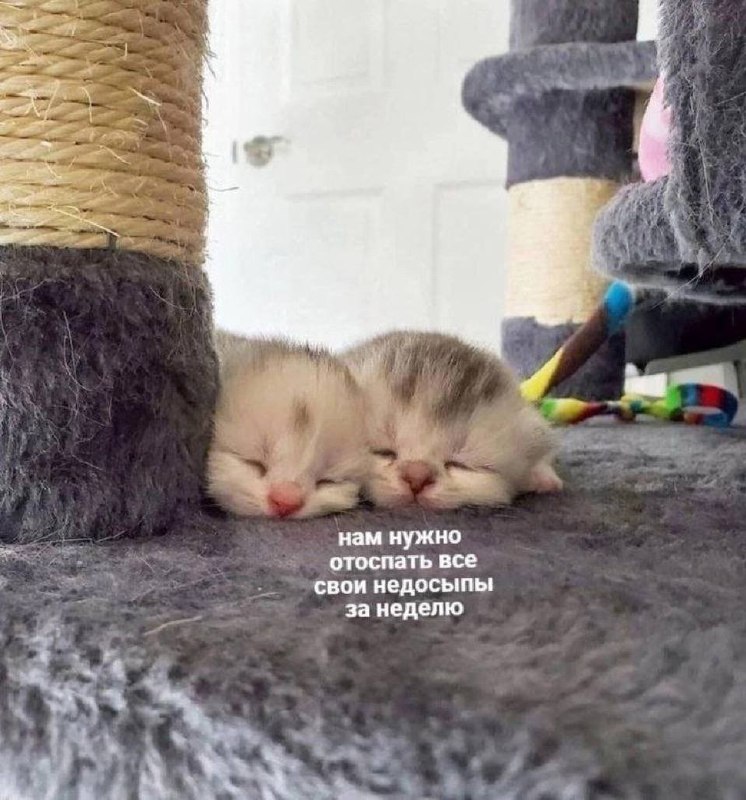 Перешли 😄