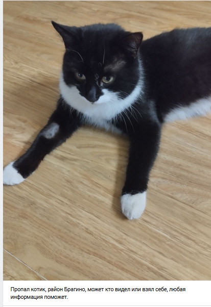 Пост добра. Распространите, пожалуйста.