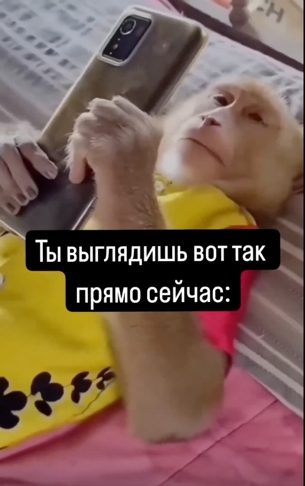 Узнали