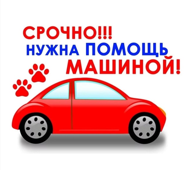 Срочно нужна машина для поездки в ветклинику в Тарусу ?...
