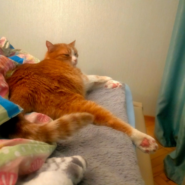 🐾
#егобезейшество