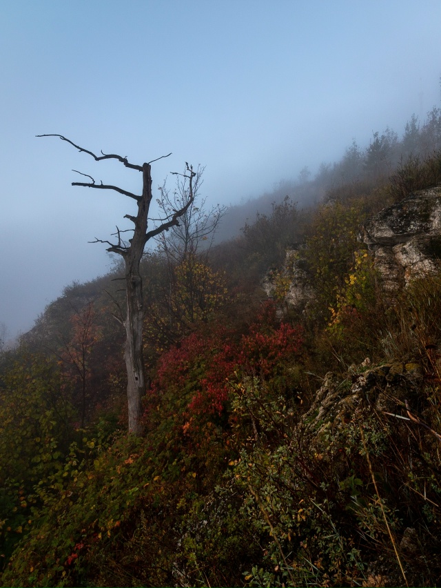 Сентябрьский туман на горе Отважная, Жигулевские горы,...
