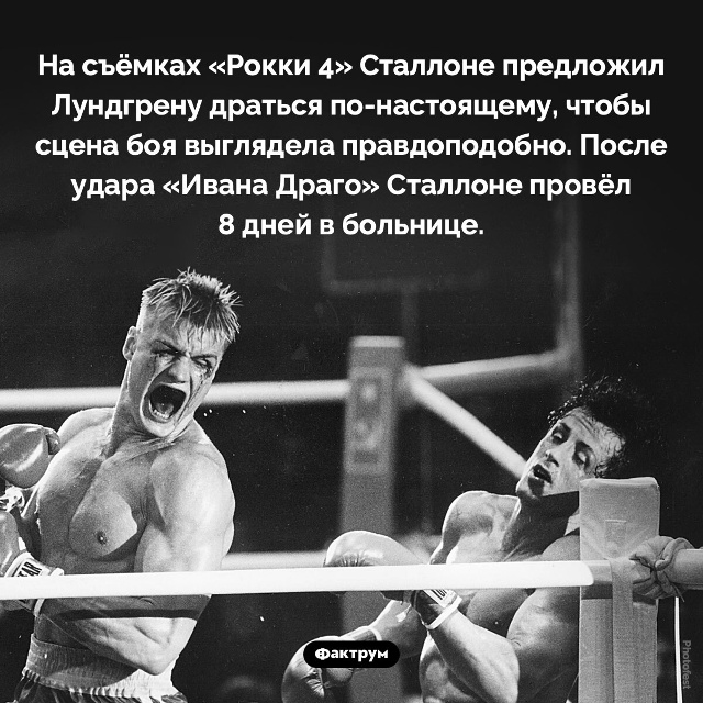 Подборка интересных фактов.