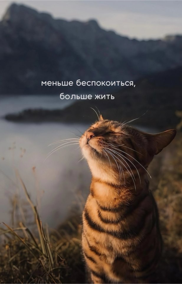 Просто то, что надо помнить😅