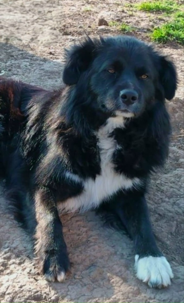 Познакомьтесь с чудесным мальчиком, которому 2 года! О...