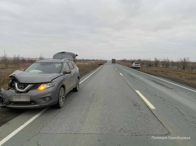 ❗Лося сбили на трассе в Оренбуржье
В Новоорском райо?...
